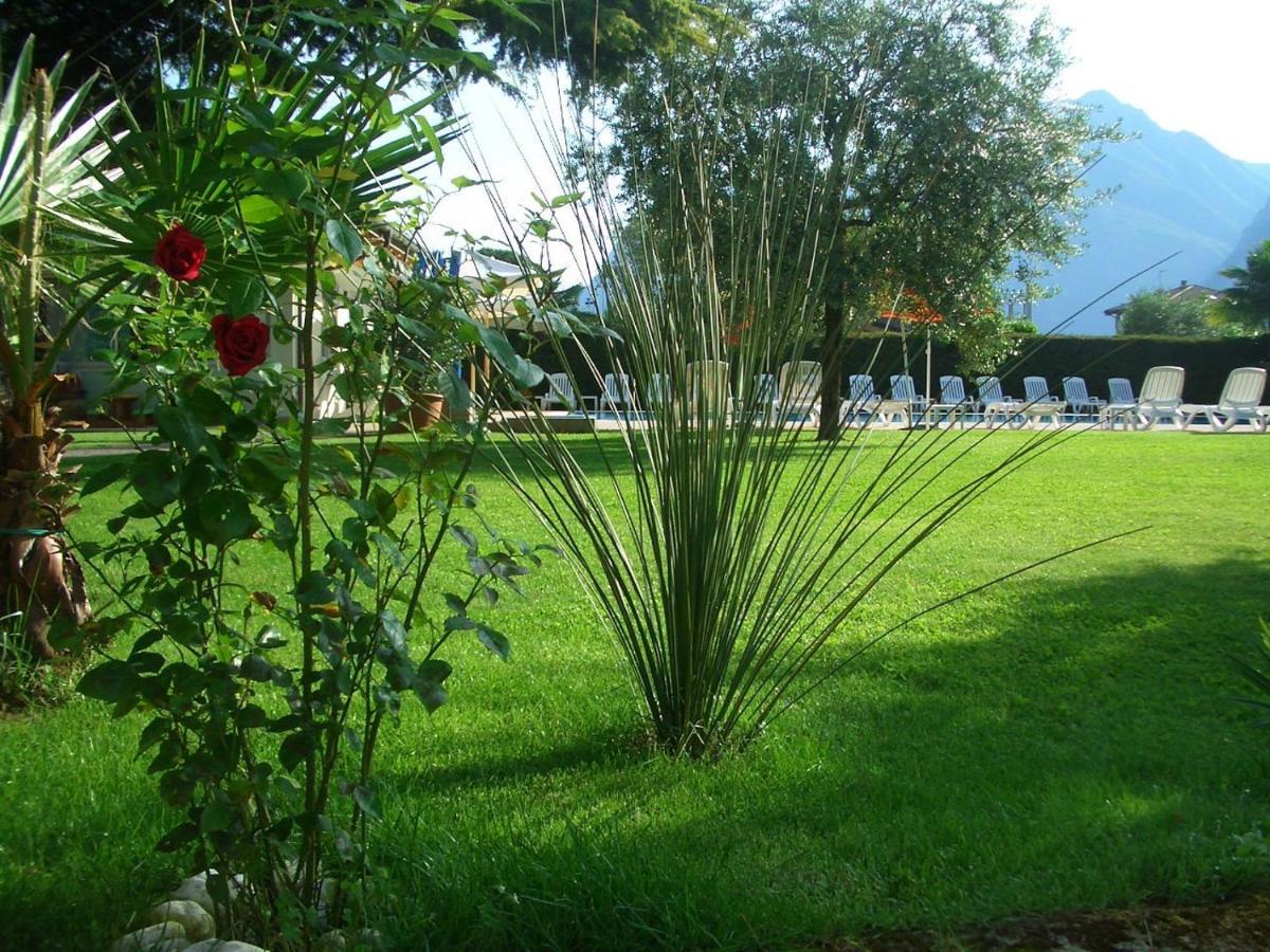 Hotel Verde 3*